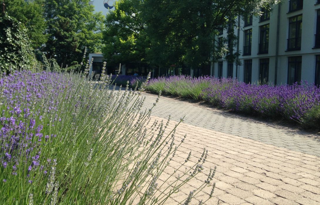 Hotel An Der Therme Haus 2 In Bad Sulza Hotel De