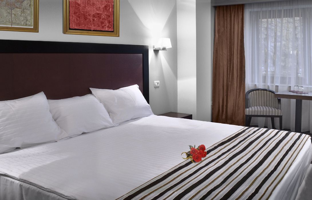 Hotel Phoenix Conference Spa Buzias Hotel De