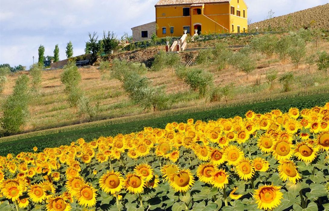 Hotel Villa Scuderi In Recanati Great Prices At Hotel Info