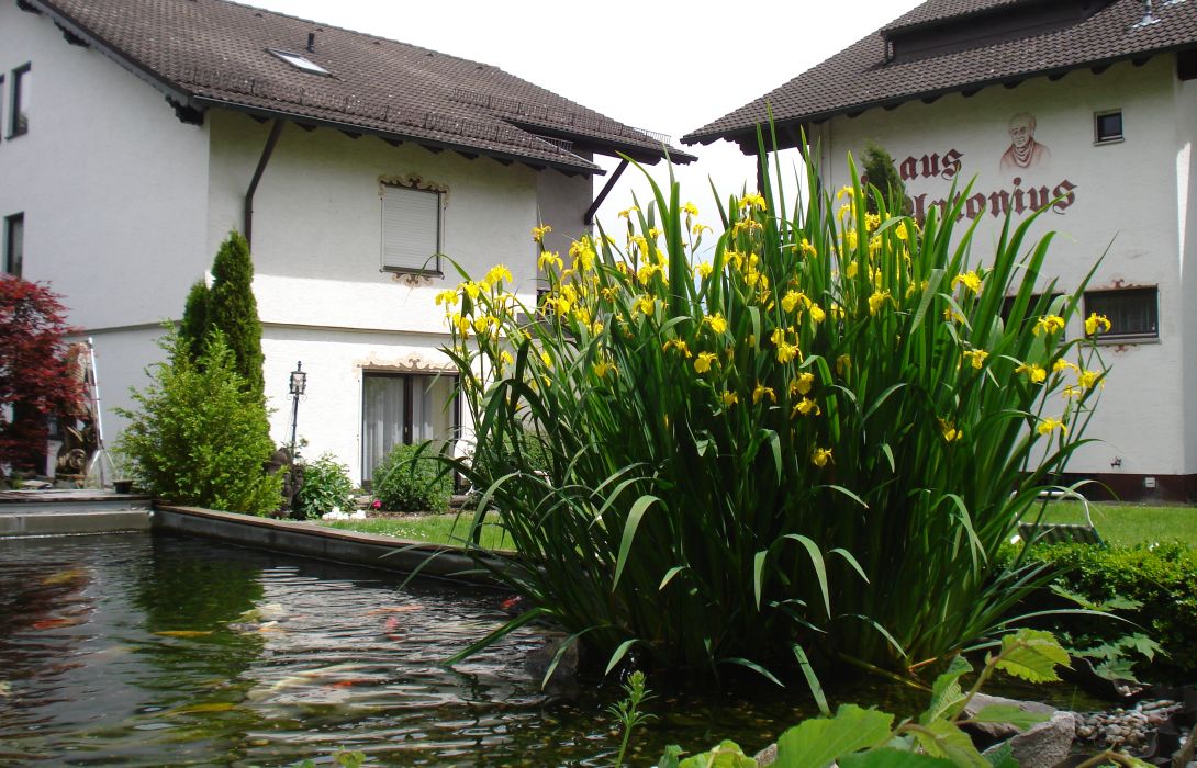 hotel haus antonius in bad fussing hotel de