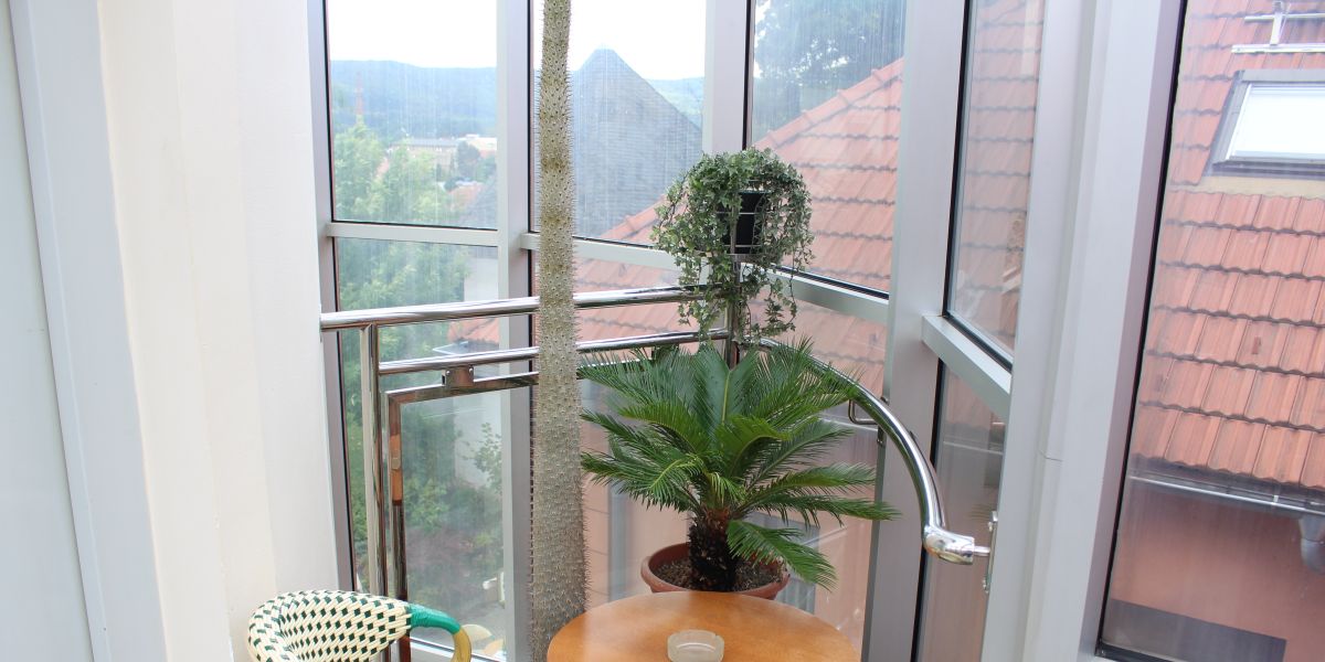 Zlaty Orel Zamecky hotel (Hranice na Moravě)
