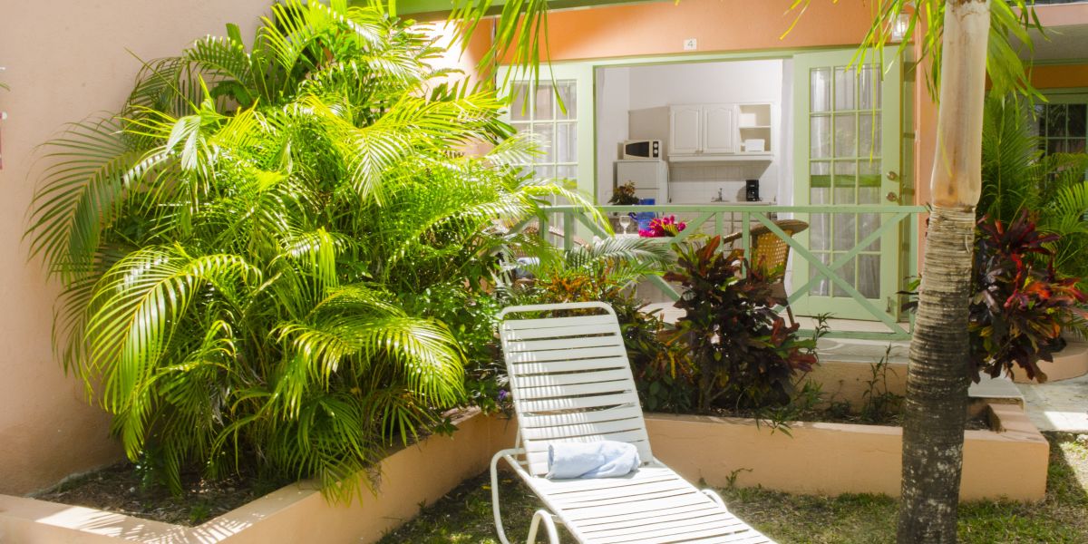Hotel Halcyon Palm Mahoe Avenue - Sunset Crest - Great prices at HOTEL INFO