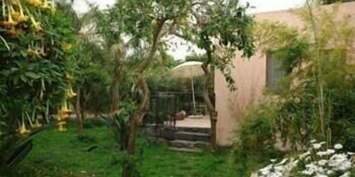 La Grevillea (Riposto)