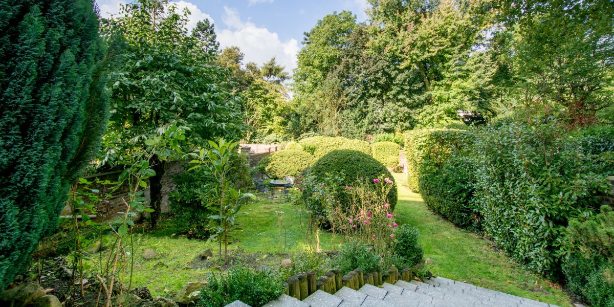 Hotel Friederike Friedrichstraße Mülheim An Der Ruhr Hotel Friederike - Mülheim an der Ruhr - Great prices at HOTEL INFO