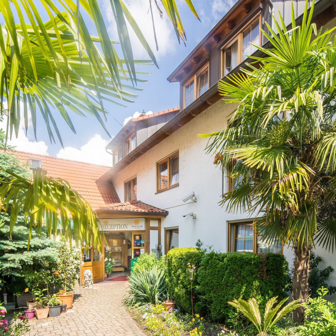 Hotel Blume - Freiburg im Breisgau - Great prices at HOTEL INFO