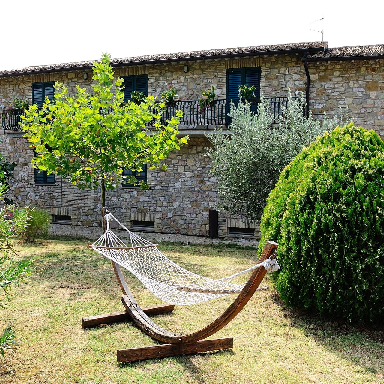 Hotel Agriturismo Colle degli Olivi - Assisi - HOTEL INFO