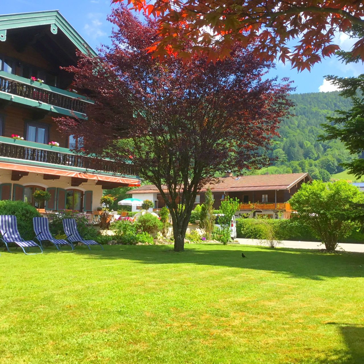 Hotel Zellerwirt - Ruhpolding - Great prices at HOTEL INFO