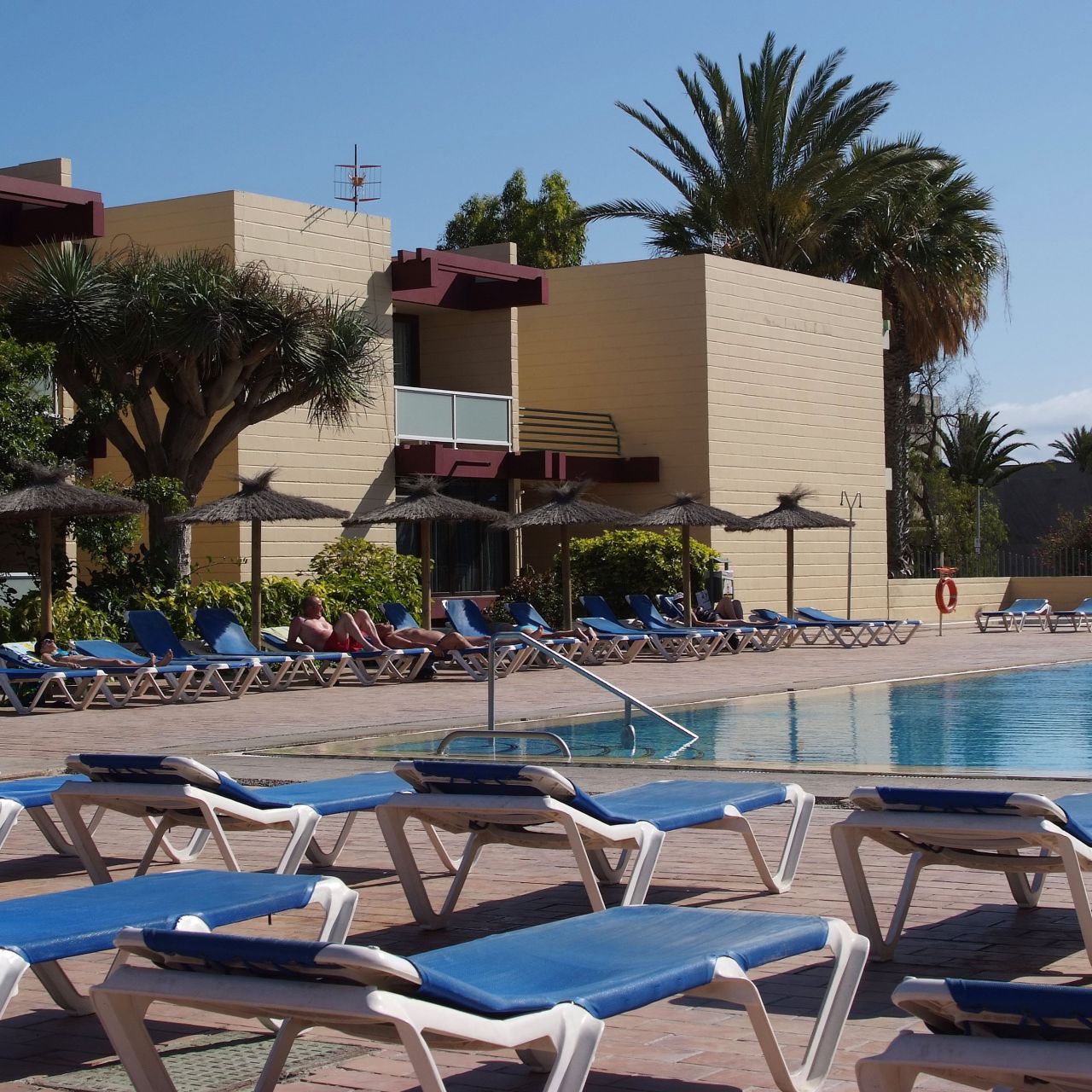 Hotel Palia Don Pedro - Canary Islands - Great prices at HOTEL INFO