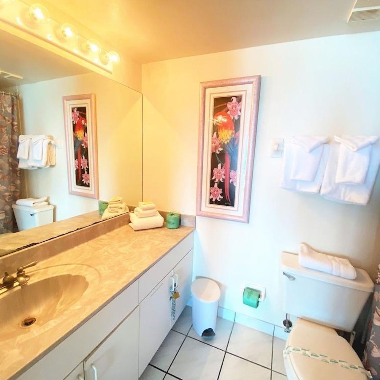 Hotel Sunrise Resort by Liberté - St Pete Beach - Great prices at HOTEL INFO