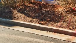 Comfort Inn Alpharetta 2 Hrs Star Hotel