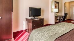 Comfort Inn And Suites Lincoln Talladega