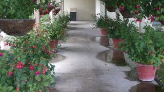 Rose Garden Inn San Luis Obispo 3 Hrs Sterne Hotel Bei Hrs Mit
