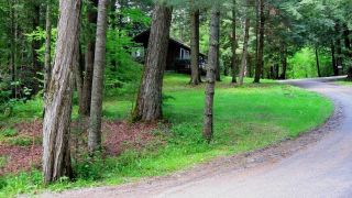 Hotel Stowe Cabins In The Woods In Waterbury Center