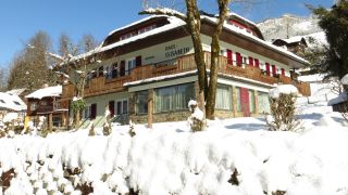 Hotel Ferienwohnungen Haus Elisabeth Bad Goisern Am Hallstattersee