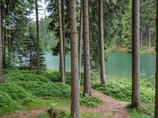Haus Am Hochwald Goslar Hotel Garni Tiscover En