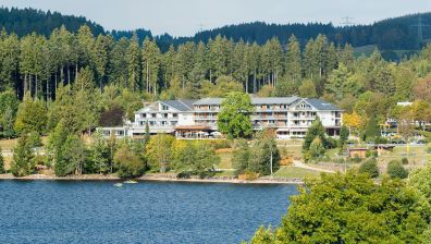 Hotel Titisee Neustadt Top Hotels Gunstig Bei Hrs Buchen