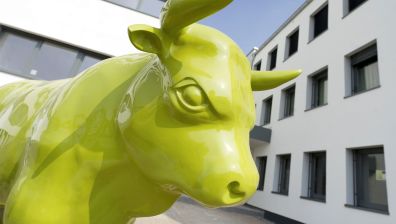 Hotelempfehlung - Bonnox Boardinghouse & Hotel - Bonn