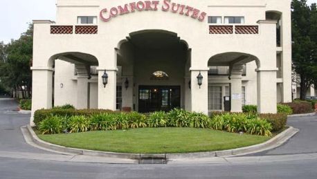 Comfort Inn And Suites San Francisco Air South San Francisco