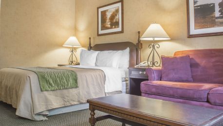Comfort Inn Sarnia 3 Hrs Star Hotel