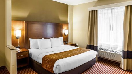 Hotel Comfort Suites Raleigh 3 Hrs Star Hotel