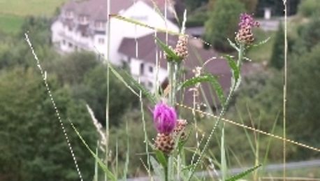 Hotel Zur Engelsburg Hausen 3 Hrs Sterne Hotel Bei Hrs Mit