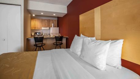 Hotel Comfort Suites Michigan Avenue Loop 4 Hrs Star Hotel In