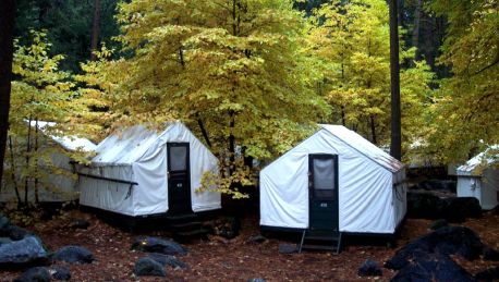 Hotel Curry Village In Yosemite Valley