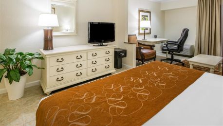 Hotel Comfort Suites Paradise Island In Nassau