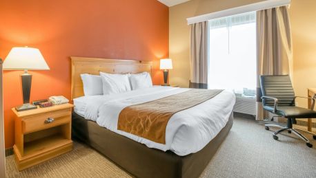 Hotel Comfort Suites Airport In Louisville