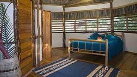 Hotel Cotton Tree Lodge In San Felipe Hotel De