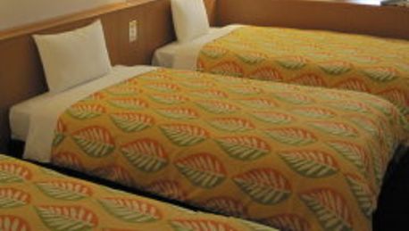 Hotel Dream Gate Maihama In Chiba Shi - 