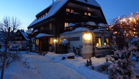 Hotel Ketterer Gästehaus in Hinterzarten - Great prices at HOTEL INFO