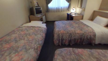 Hotel Shirakawago 2 Hrs Star Hotel In Tokyo - 
