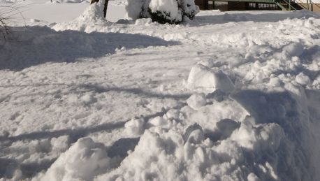 Hotel Gastehaus Meusburger 2 Hrs Star Hotel In Bezau