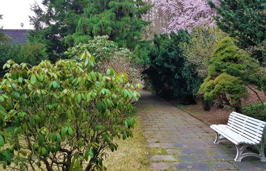 Hotel Siegerland Haus Im Walde Freudenberg Great Prices At Hotel Info