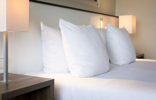 Holiday Inn Eindhoven Hotel De
