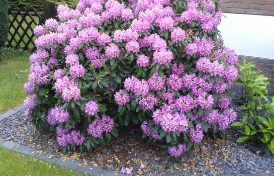 Hotel Haus Am Rieth Nettetal Great Prices At Hotel Info