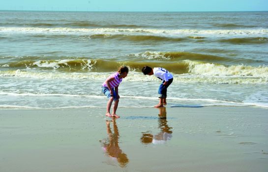 Hotel Zuiderduin - Egmond aan Zee, Bergen - HOTEL INFO