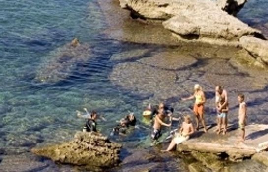 Hotel Best Delta Hotel Best Delta Majorca Great Prices At