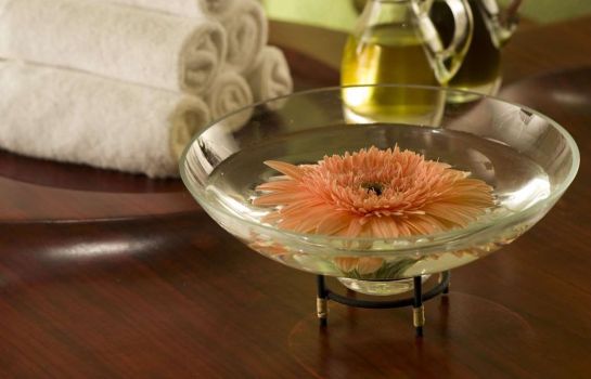 hotel swissotel grand efes izmir