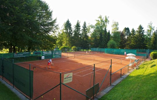 Tennisplatz Steigenberger Sonnenhof, Der