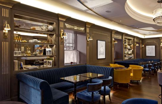 Hotel-Bar Hyatt Regency London Churchill
