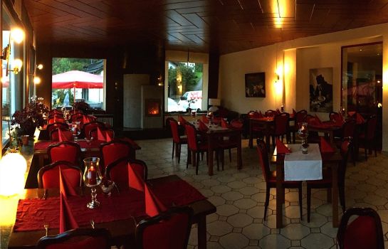 hotel roter kater graue katze in kassel hotel de