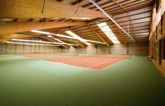 Tennisplatz Idingshof