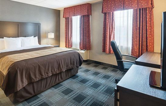 Comfort Inn Ballston Arlington Great Prices At Hotel Info