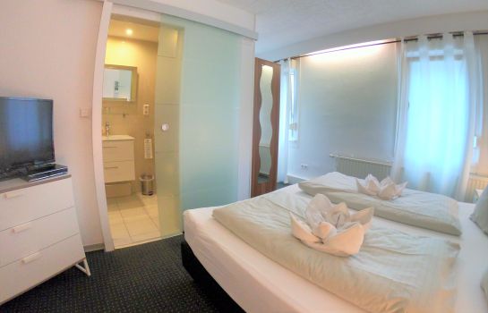 Doppelzimmer Standard Diez City-Hotel-Garni