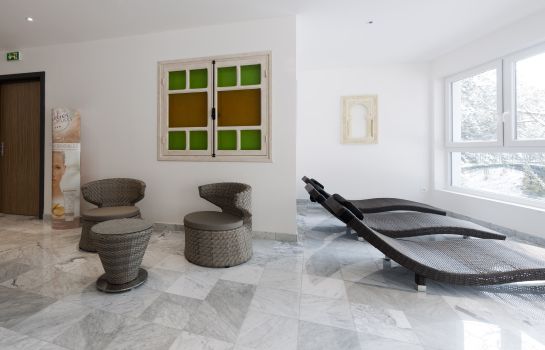 Hôtel du Parc Spa et wellness in Niederbronn-les-Bains ...