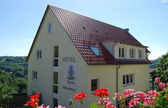 Außenansicht Igelwirt Berggasthof-Hotel
