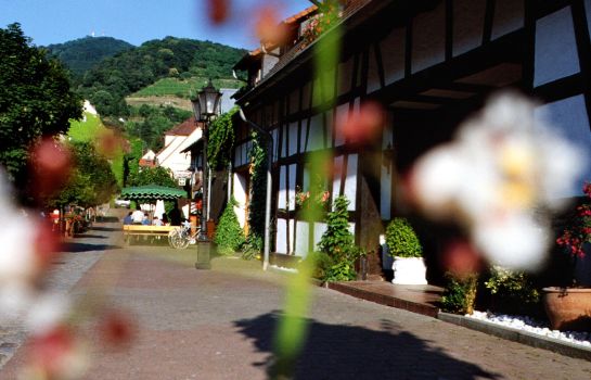 Hotel Zur Bergstrasse Garni In Zwingenberg Hotel De
