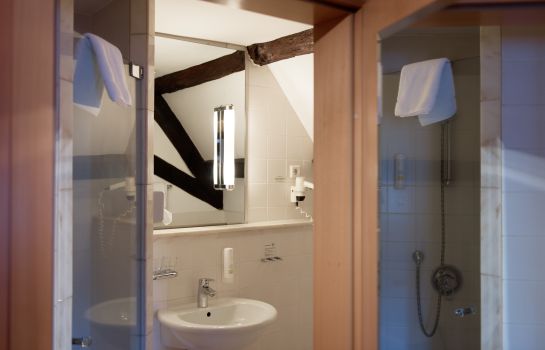 Hotel Salischer Hof Schifferstadt Hotel Info